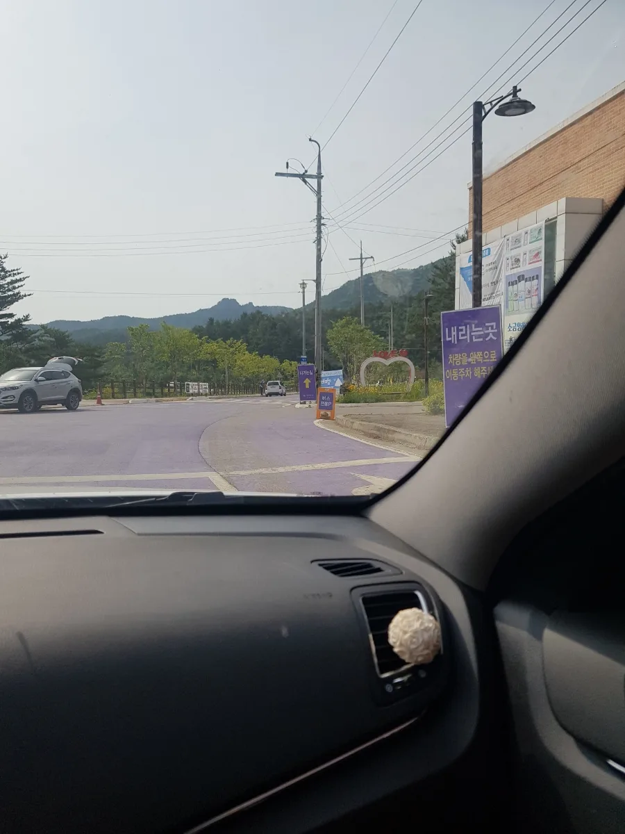 고성 하늬 라벤다 마을 방문 후기 (2026년 최신 정보) 3
