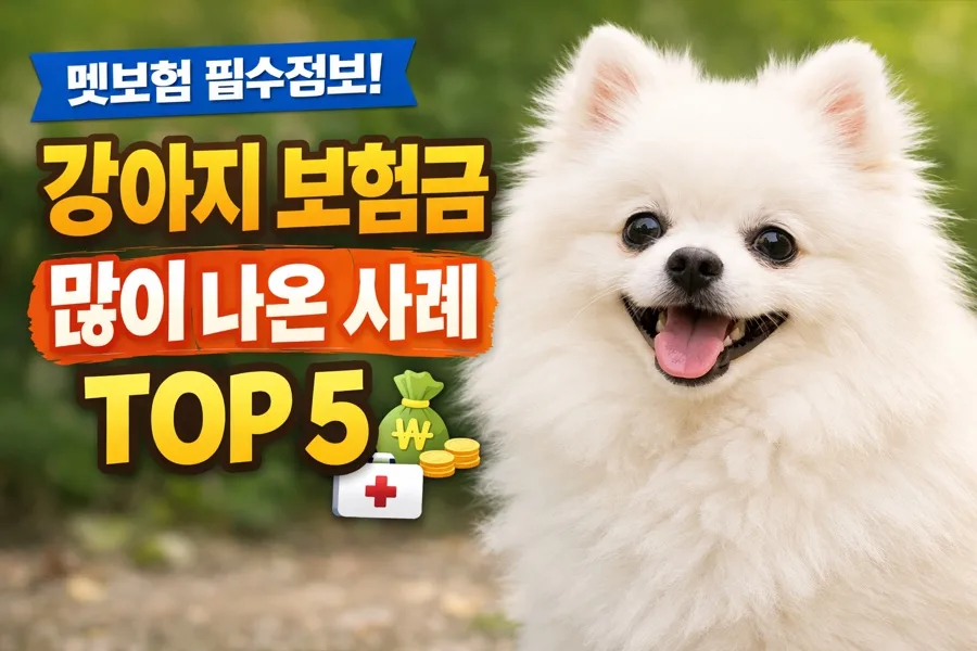 2026년 펫보험, 강아지 보험금 최다 지급 사례 5가지 분석