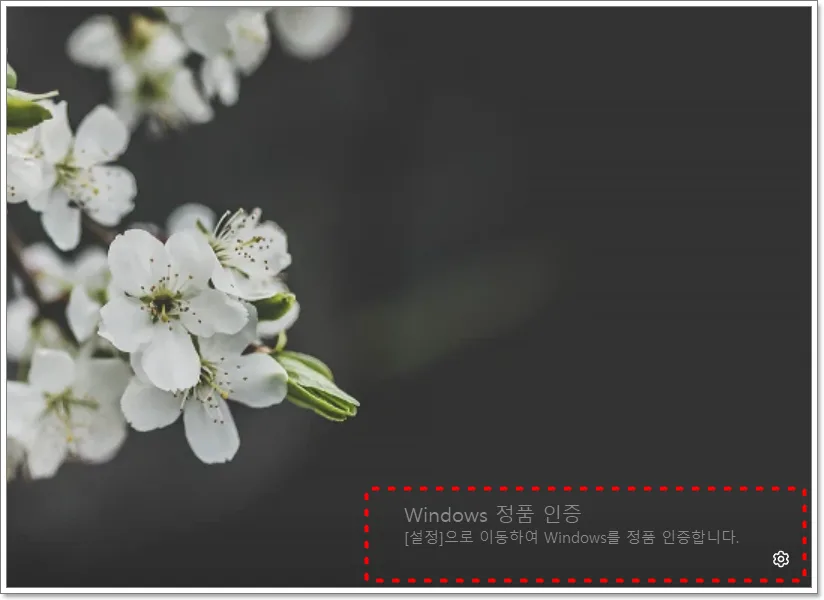 윈도우 정품인증 워터마크 제거 cmd 방법 2026년 총정리 — IT·테크 — leemonpai