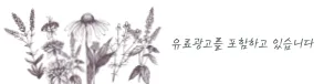 전주 강아지 분양 2026: 온퍼피에서 특별한 반려견 찾는 법