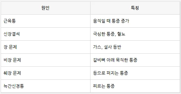 왼쪽 옆구리 통증 원인 2026: 근육통부터 신장 질환까지 총정리 2
