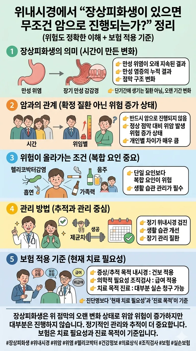 장상피화생, 위암 위험도와 보험 적용 2026년 총정리 — 건강·의학 — ban50007