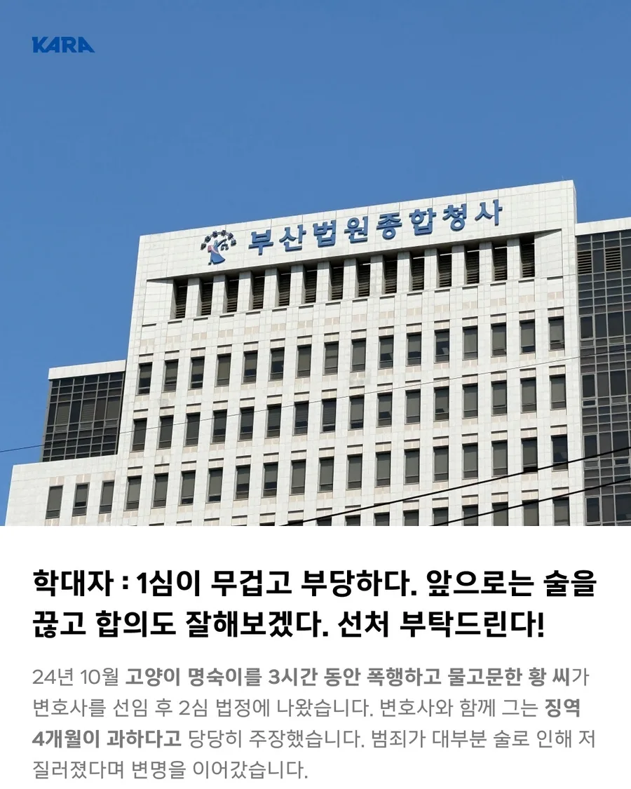 고양이 학대범 엄벌 촉구 탄원, 2026년 항소심 결과와 대법원 판결 분석 3