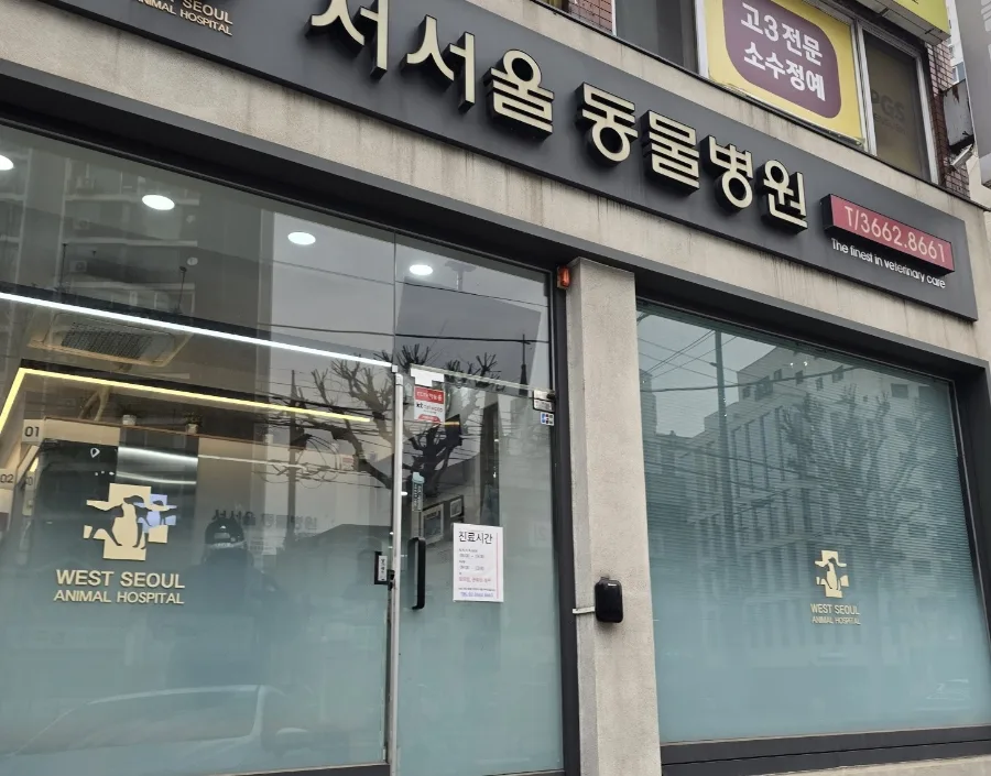강아지 켁켁거림, 호흡곤란 원인 2026년 총정리 2