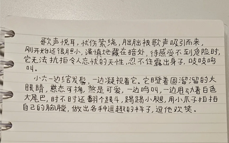 장상사 朏朏 등장: 憨态可掬 뜻과 煞是可爱 해석 2026 — 문학·책 — pppiao