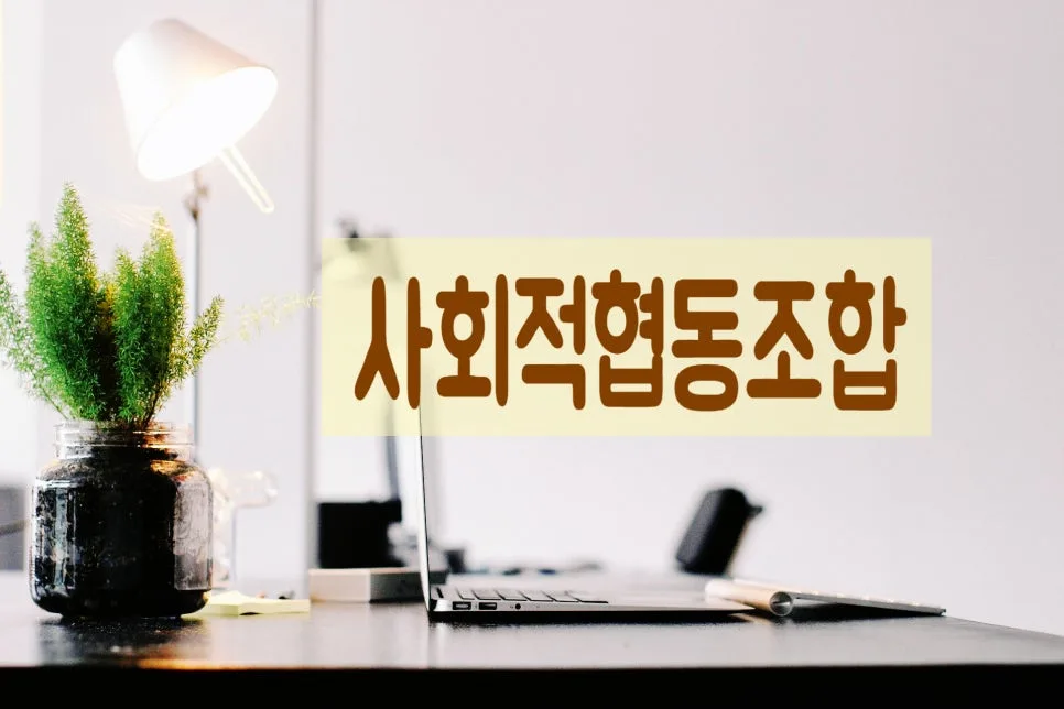 사회적협동조합 설립 절차와 운영 핵심 총정리 2026