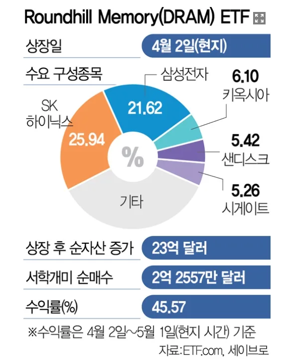 DRAM ETF, 삼성전자·SK하이닉스 투자 대안 2026년 전망 2