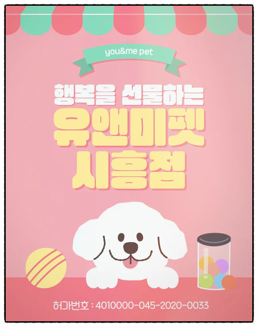 파주 포메라니안 분양 2026: 유앤미펫 방문 후기 및 건강한 강아지 선택법