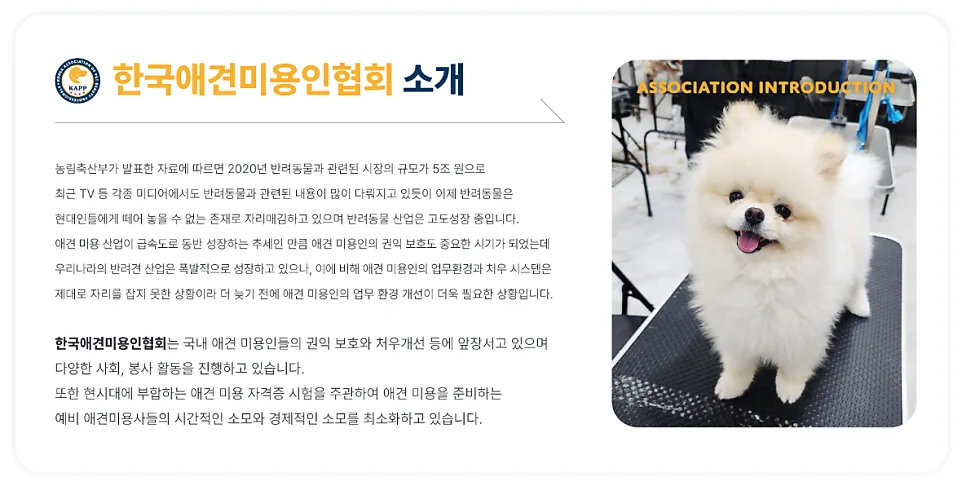 2026 애견미용 자격증 시험 일정 및 합격 기준 완벽 정리 — 교육·학문 — kay_9246