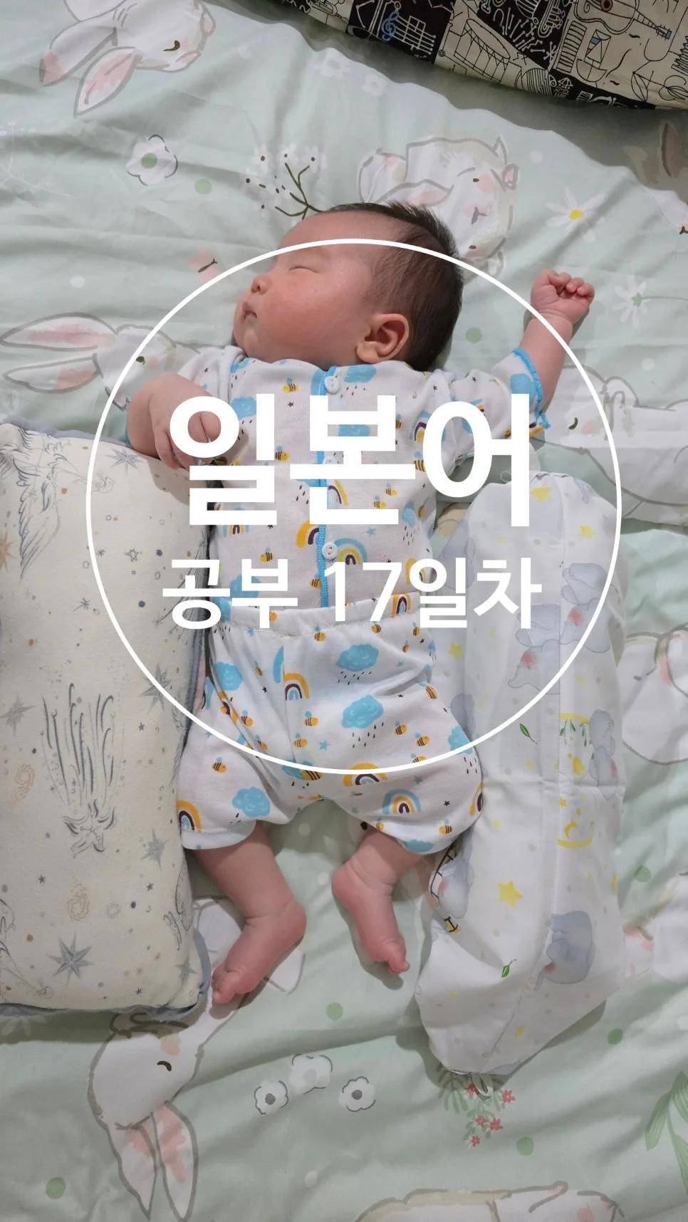 일본어 단어 암기법 2026: 17일차 학습 효과 높이기 — 어학·외국어 — ksw8832