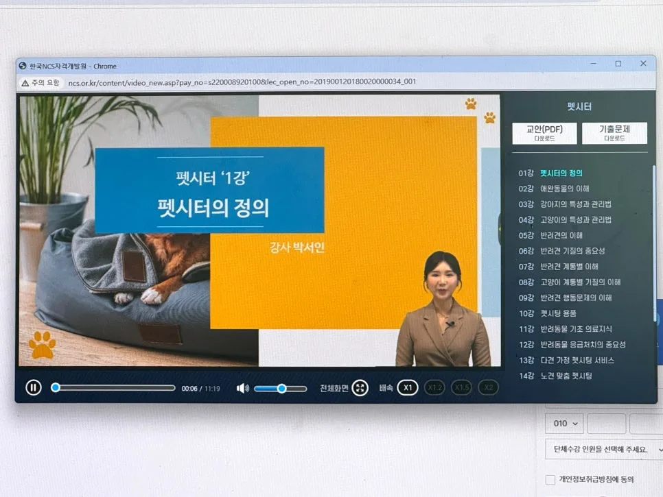 펫시터 자격증 취득 방법 2026: 인강부터 실전까지 완벽 가이드 2