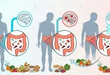 AI 고객 경험 혁신과 파킨슨병 조기 진단 기술 2026 — IT·테크 — c1c1b1b1