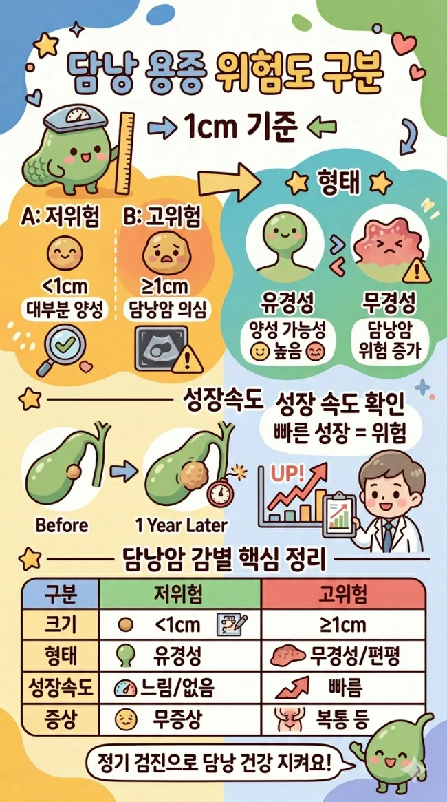 담낭 용종 1cm 이상 위험할까? 형태·성장 속도별 구분 2026