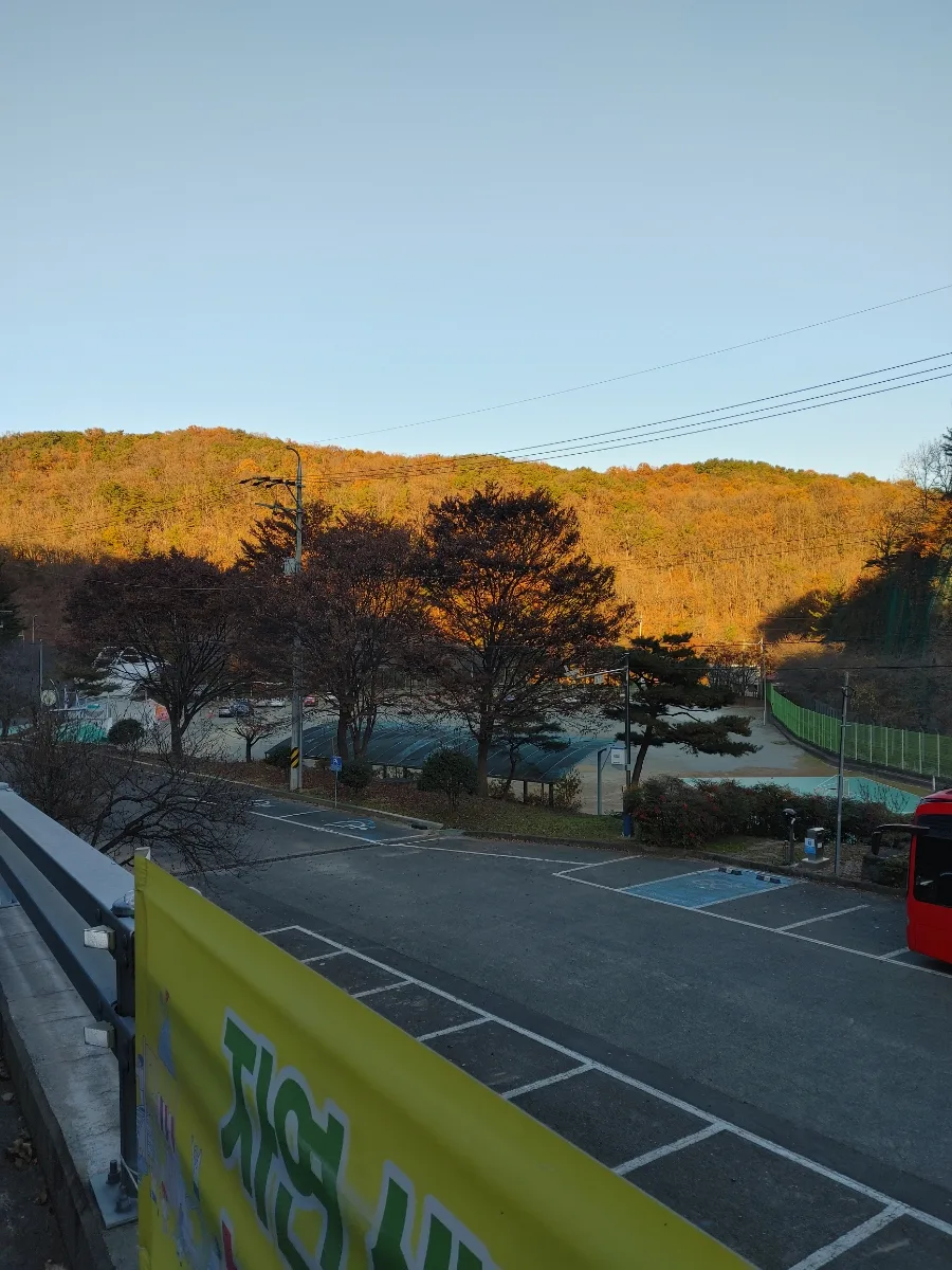 함안 입곡군립공원 2026: 박제전시관·식물원·놀이터 완벽 가이드 3