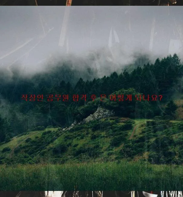 공무원 합격 후 변화: 직장 적응 및 성장 로드맵 2026 — 교육·학문 — vast86569