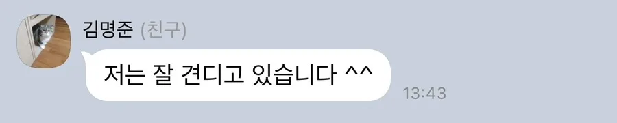 히메컷 스타일링과 태국 길거리 음식 2026년 완벽 가이드 2