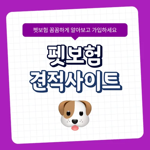 2026년 펫보험, 고양이 강아지 보험료 비교 및 필수 보장 3가지 2