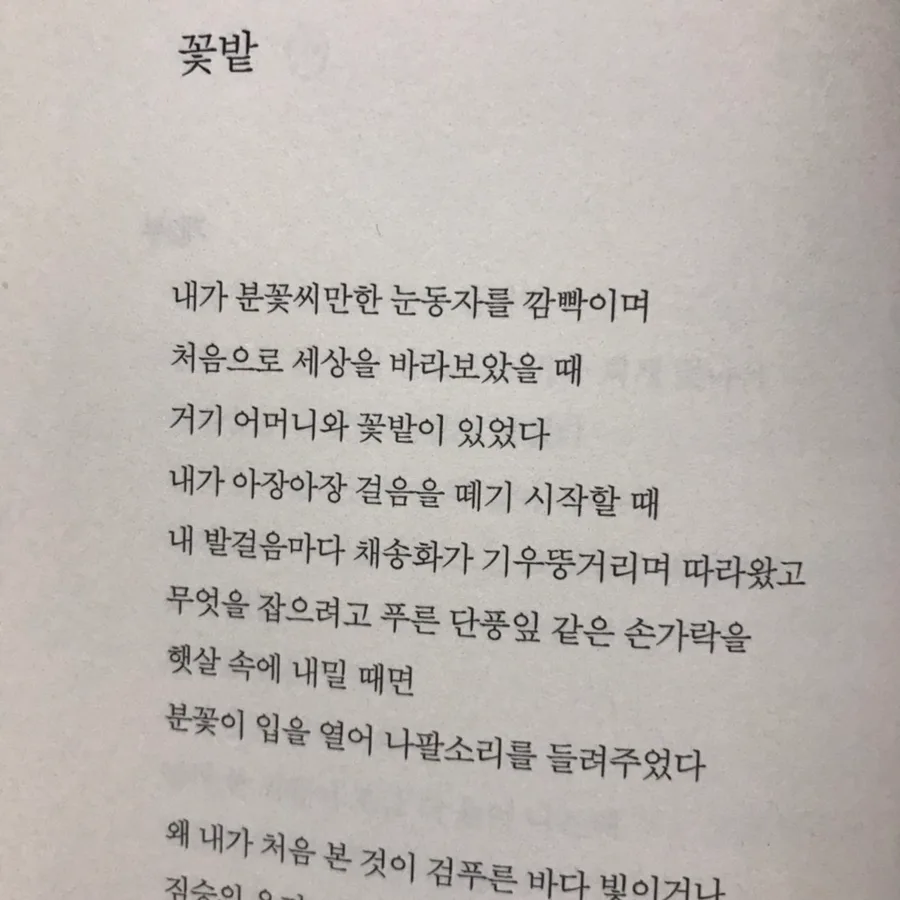 도종환 시 '꽃밭' 2025년 분석: 어머니와 함께한 삶의 의미 2