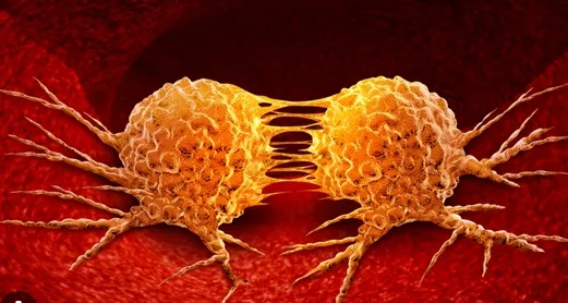 암 전이 자율주행 비밀 2026: KAIST 연구팀의 세포 이동 메커니즘과 항암 치료 전망 2