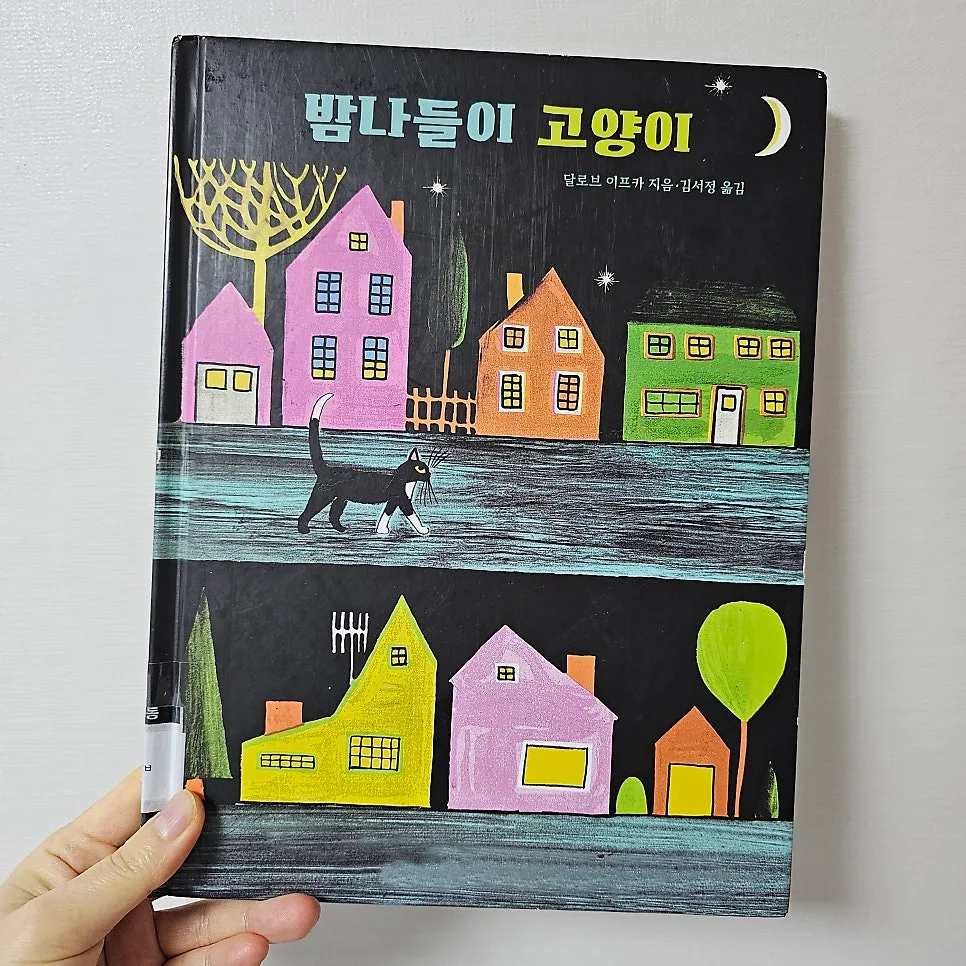 밤나들이 고양이 2026: 아이와 함께 밤의 아름다움을 발견하는 법 3