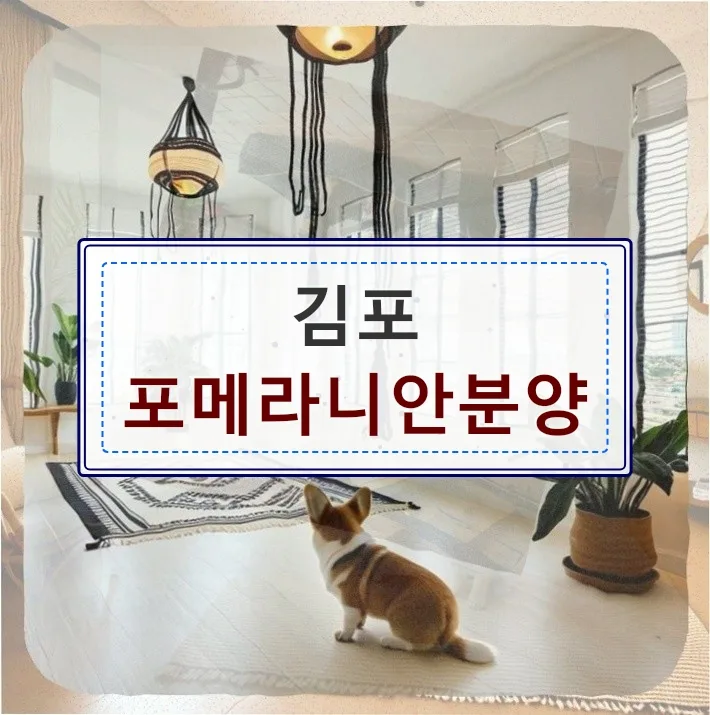 김포 포메라니안 분양, 책임감 있는 선택 가이드 2026 — 반려동물 — believe7786