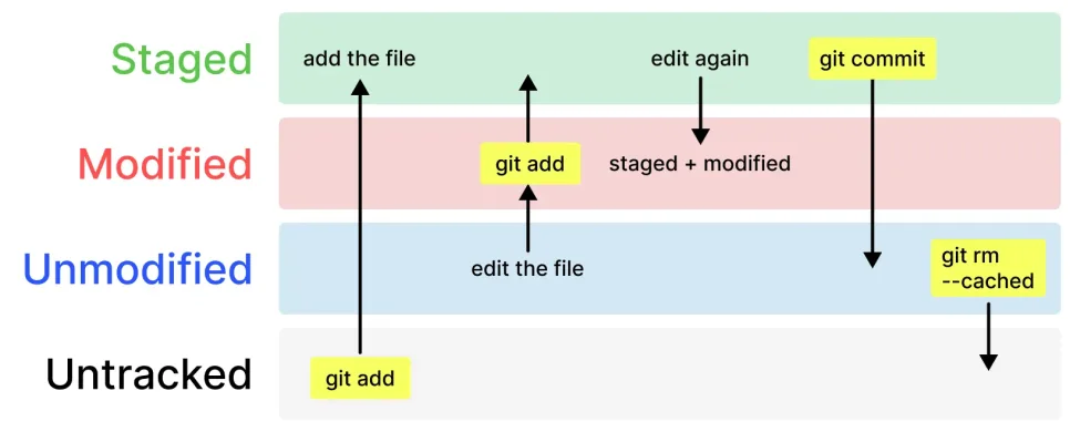 Git Add 취소 완벽 정복: 4가지 상태와 실수 방지법 2026 3