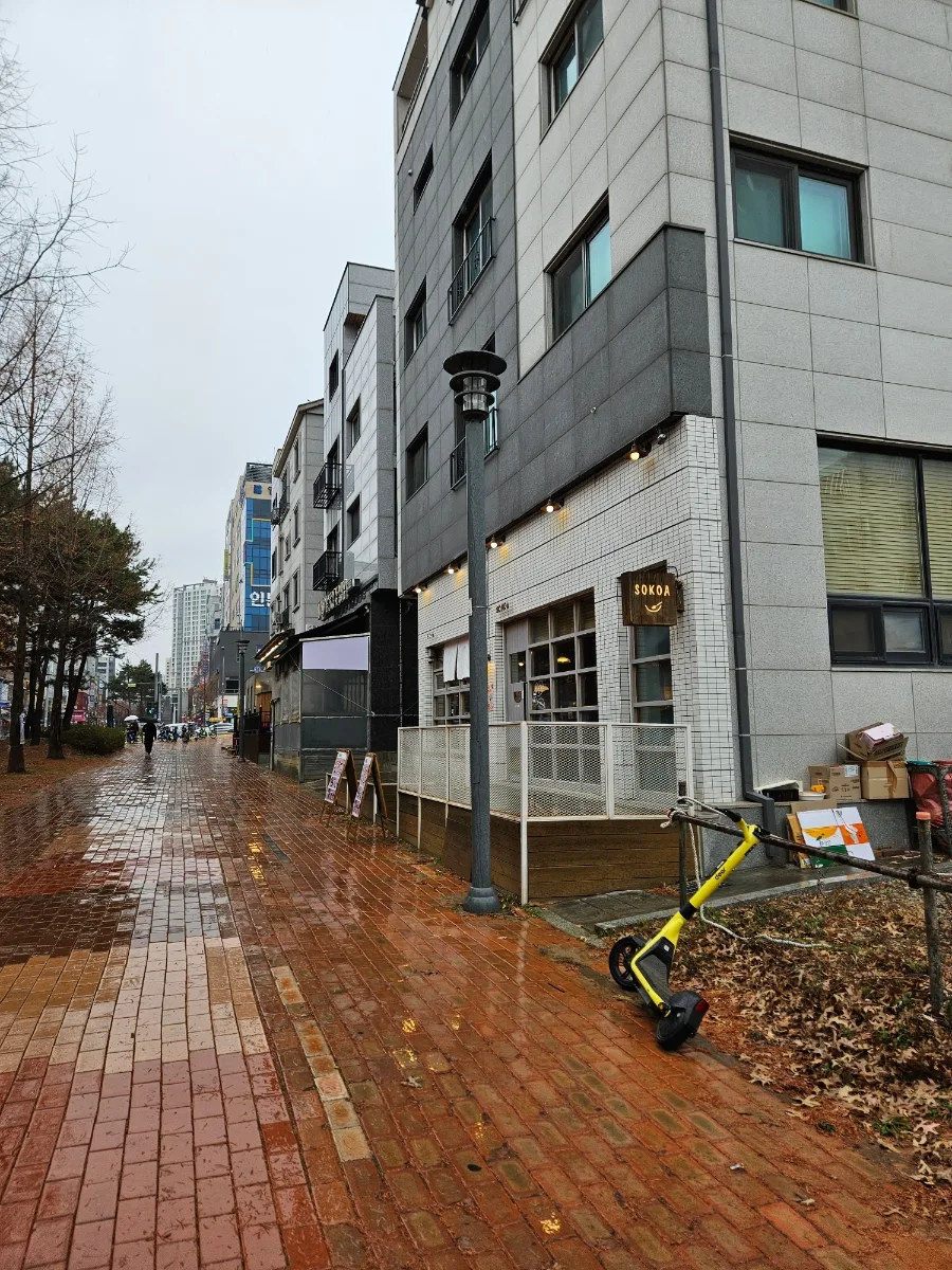 파주 운정 카레 맛집 2026: 소코아 메뉴, 주차, 리필 꿀팁 총정리 2