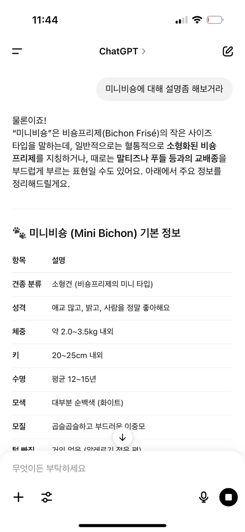 미니비숑 분양 2026: 포니와 도담이, 건강한 아가 입양 가이드 2