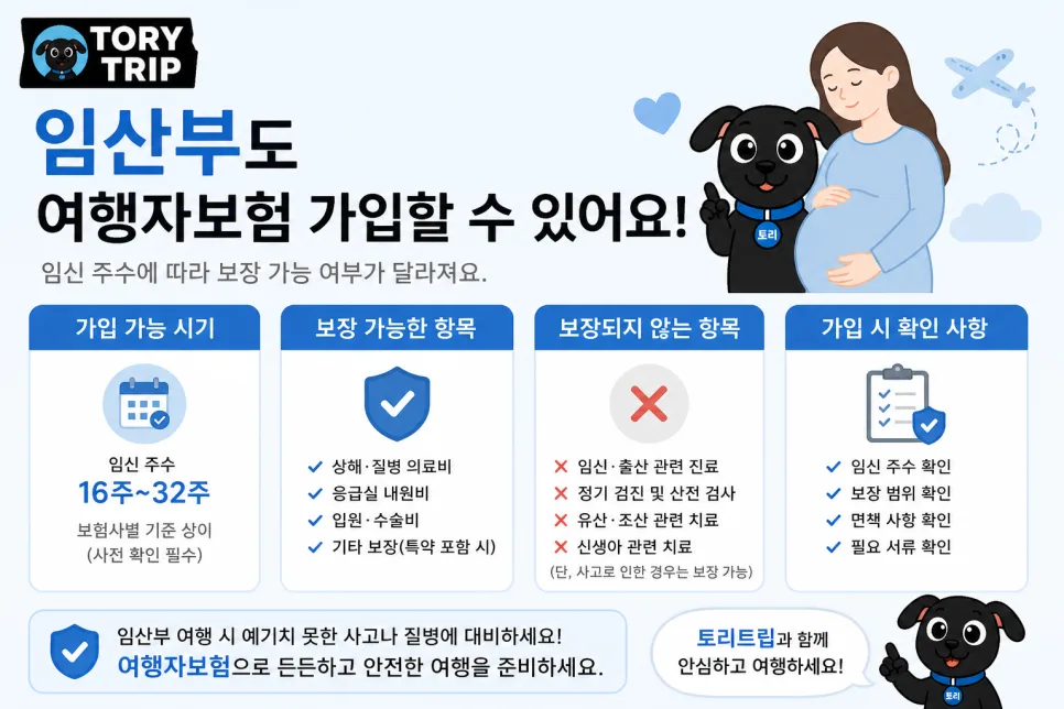 임신 중 해외여행자보험 가입 및 보장 범위 2026년 총정리