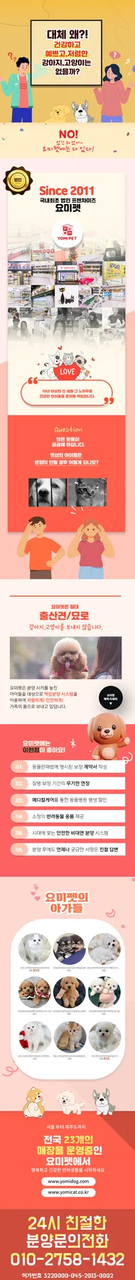 남양주 고양이 분양, 믿을 수 있는 곳 찾는 법 2026 2