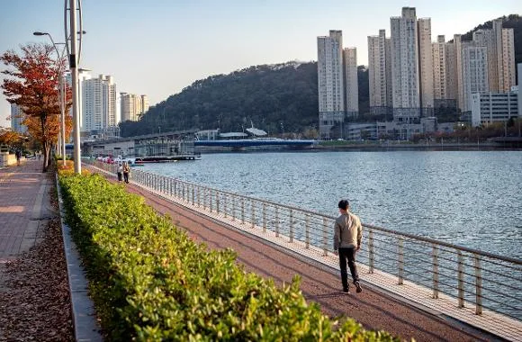 2026년 '팍세권' 아파트 경쟁률 3.6배↑…공세권 청약 성공 전략 2