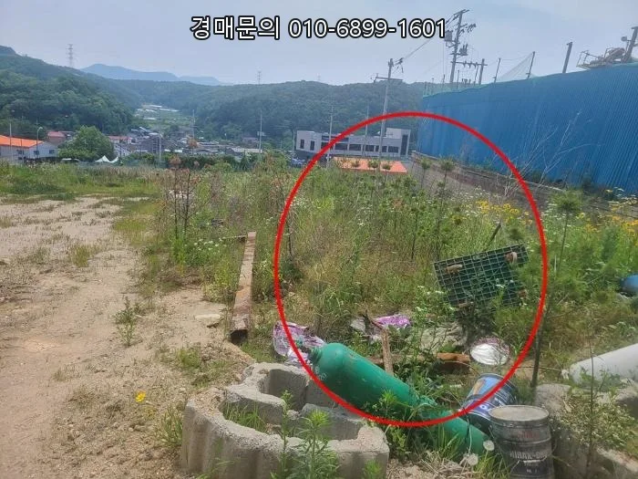 용인 임야 반값 경매, 계획관리지역 투자 기회 2026년 분석 2