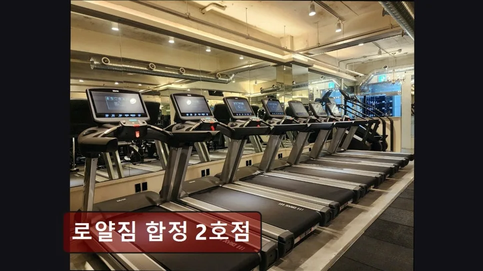 홍대 헬스장 로얄짐 합정 2호점: PT·시설·가격 완벽 분석 2026 3