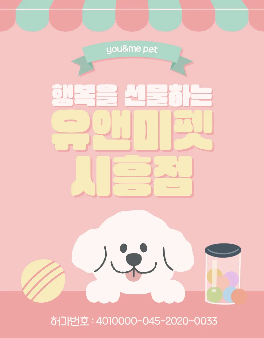 김포 비숑 분양 2026: 유앤미펫 방문 후기 및 건강한 반려견 선택법