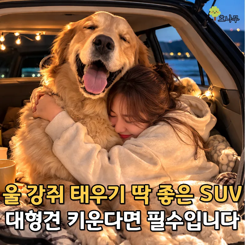 대형견과 함께 떠나는 여행: 국산 SUV 선택 가이드 2026 — 자동차 — gywl297