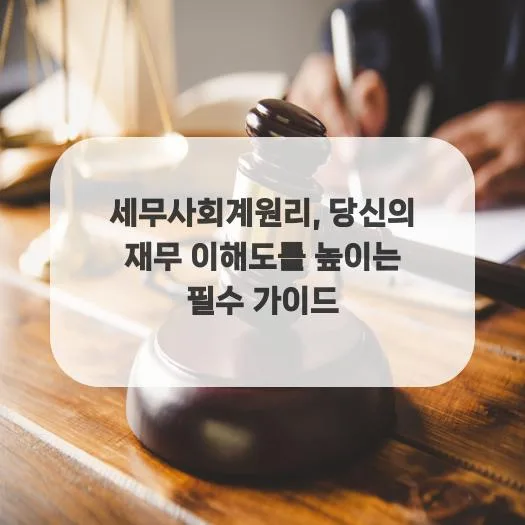세무회계원리 핵심 정리: 재무제표 분석법 2026 2