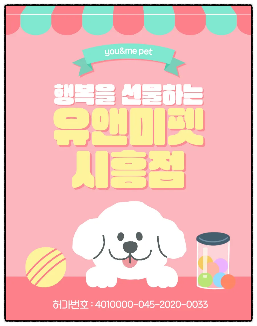 정자 시츄 분양 후기: 건강한 반려견 찾는 3가지 핵심 체크리스트 2026