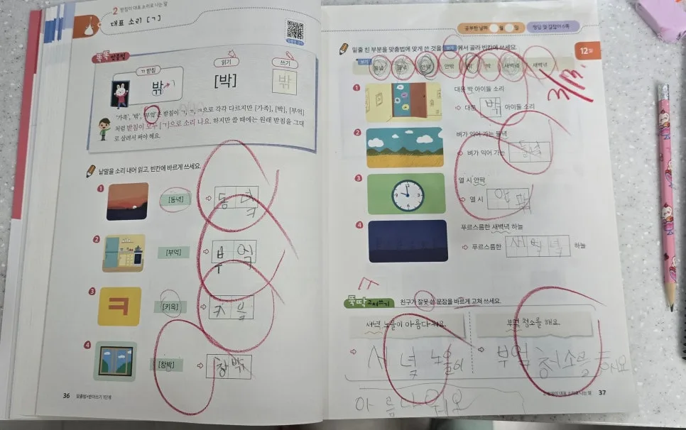 초1 엄마표 공부 2일차: 100일 기록 시작과 국영수 학습법 2026 2