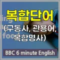 BBC 6분 영어: 야생 식물 채집 및 섭취법 2026년 완벽 정리 2