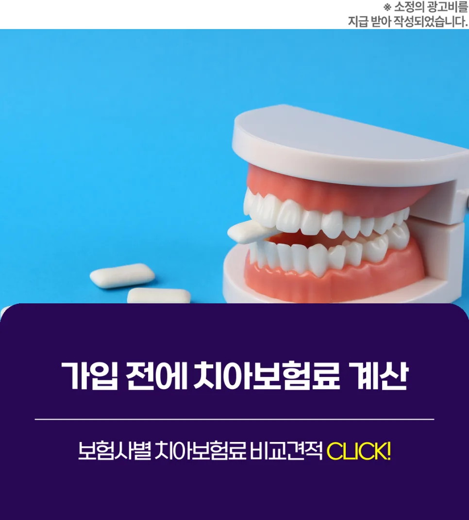 치아보험, 2026년 보장 범위 제대로 비교하는 법