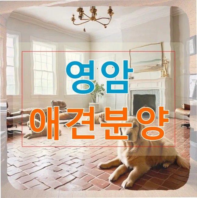 영암 반려견 15년 책임, 노견 건강 관리법 2026년 총정리
