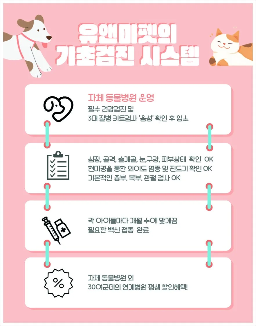 시흥 말티푸 분양 2026: 유앤미펫 방문 후기 & 선택 가이드 2