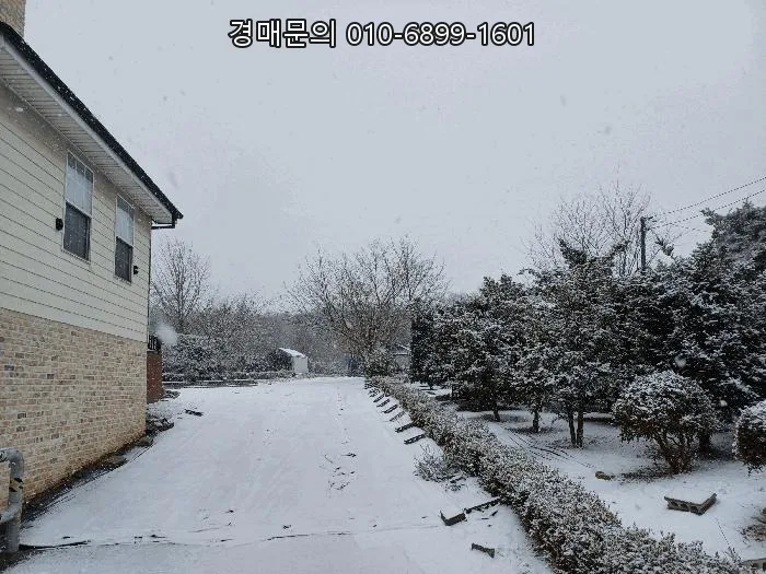 고양시 오금동 토지 경매: 2026년 4월 23일, 3천 평대 투자 기회 분석 2