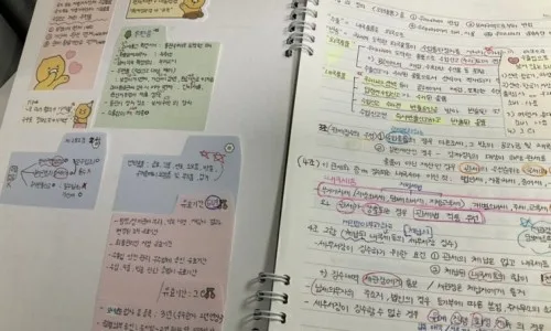 공무원 시험 노베이스 합격 전략 2026: 현실적인 조언 — 교육·학문 — dam2yun02