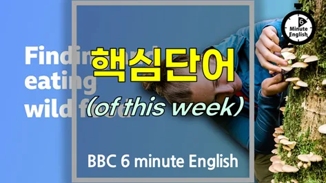 야생 식재료 채집 2026: 비용, 방법, 주의사항 완벽 정리 — 한식 레시피 — softca