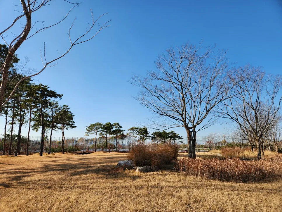 고덕강일3단지 반값아파트, 주변 환경 및 교육 정보 2026년 완벽 분석 2