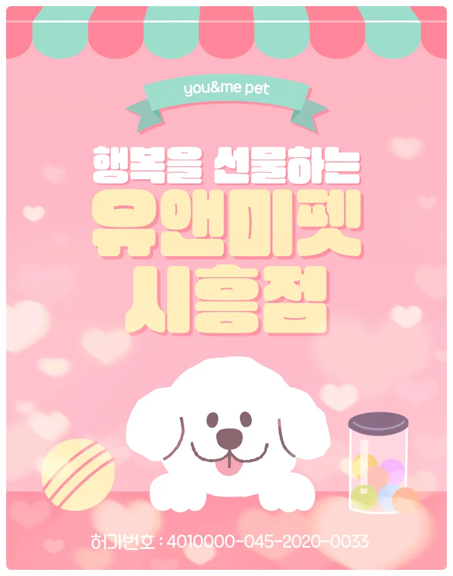 의왕 토이푸들 분양 2026: 유앤미펫 비교 후기 및 입양 가이드