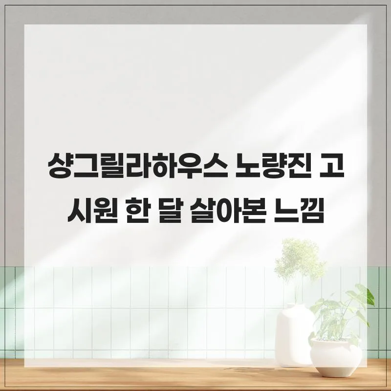 노량진 고시원 샹그릴라하우스 한 달 살아보니 2026 2