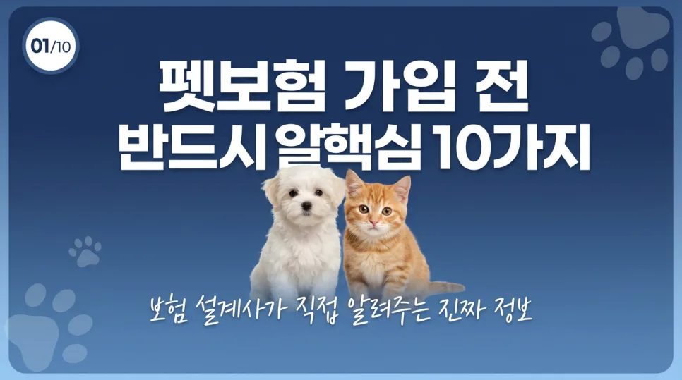 프리미엄 vs 다이렉트 펫보험 2026: 비교 분석 및 현명한 선택 가이드