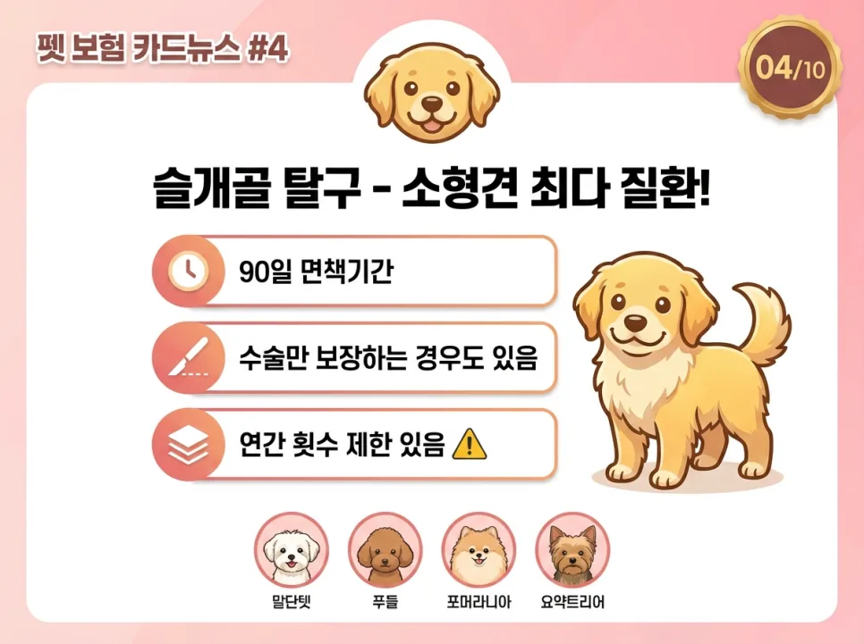 프리미엄 vs 다이렉트 펫보험 2026: 비교 분석 및 현명한 선택 가이드 2
